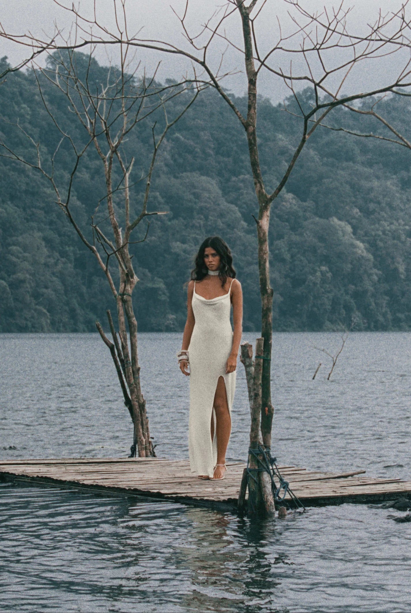 TANN LINE / WILLOW DRESS