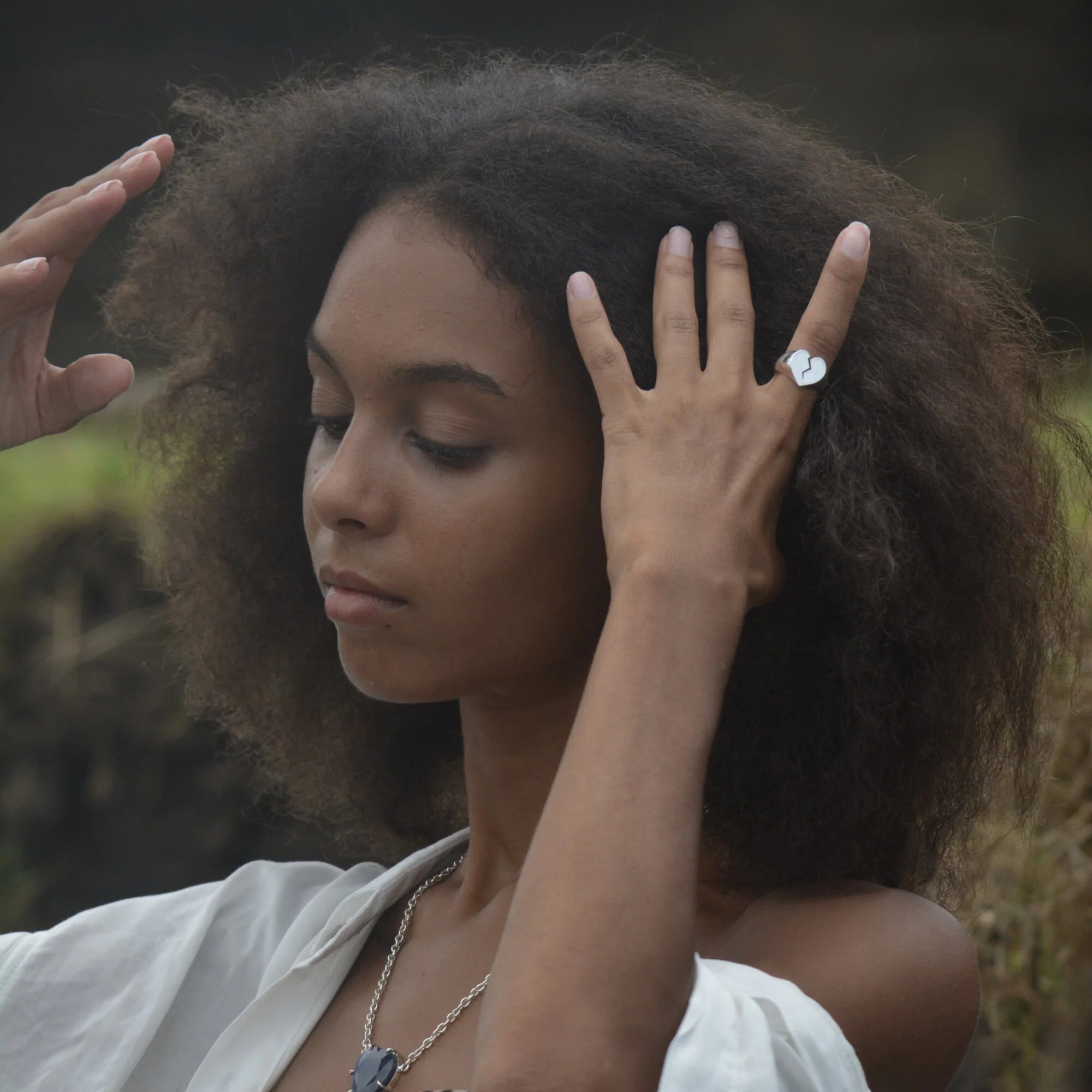 THE FAMILY JEWELS / BROKEN NOT FORGOTTEN