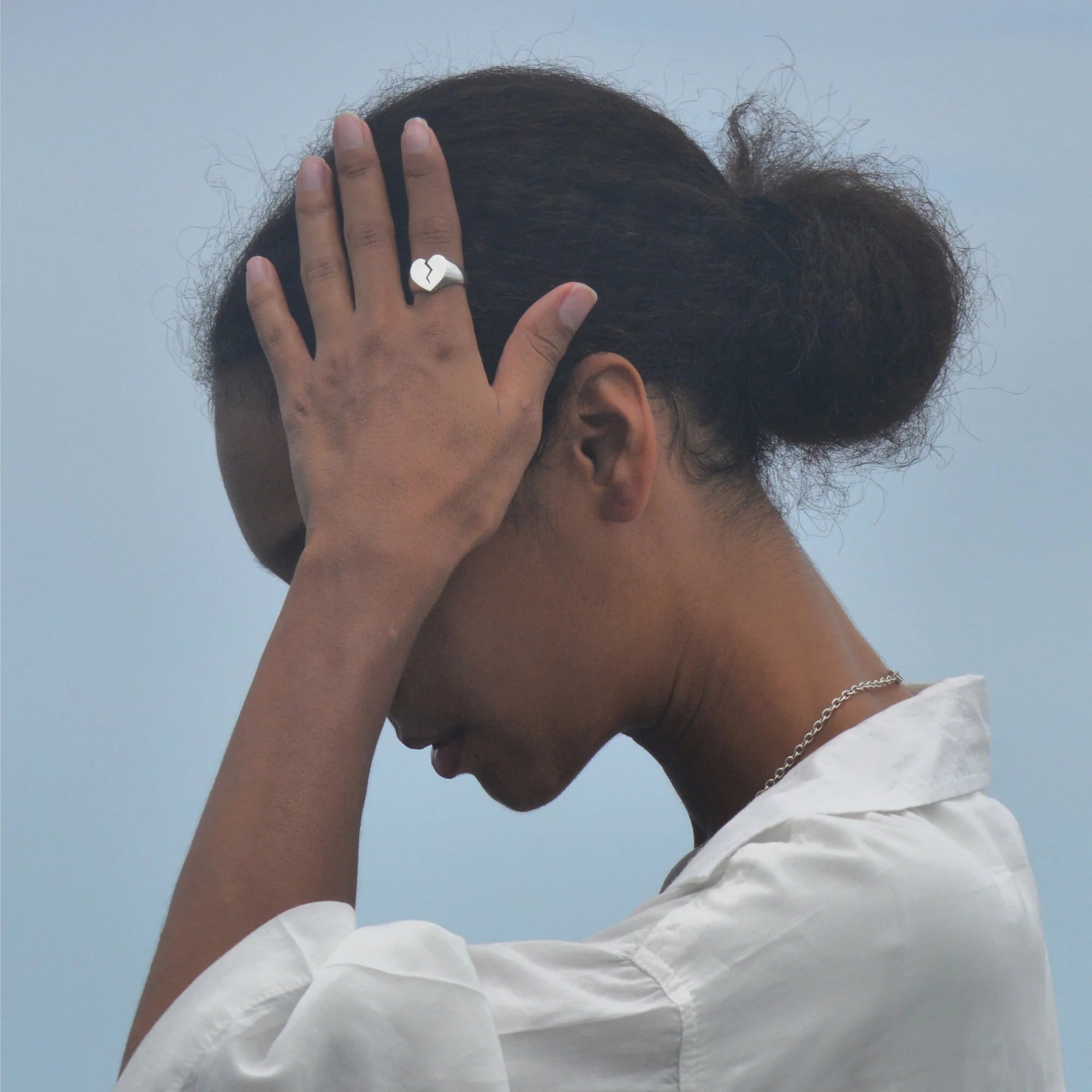 THE FAMILY JEWELS / BROKEN NOT FORGOTTEN