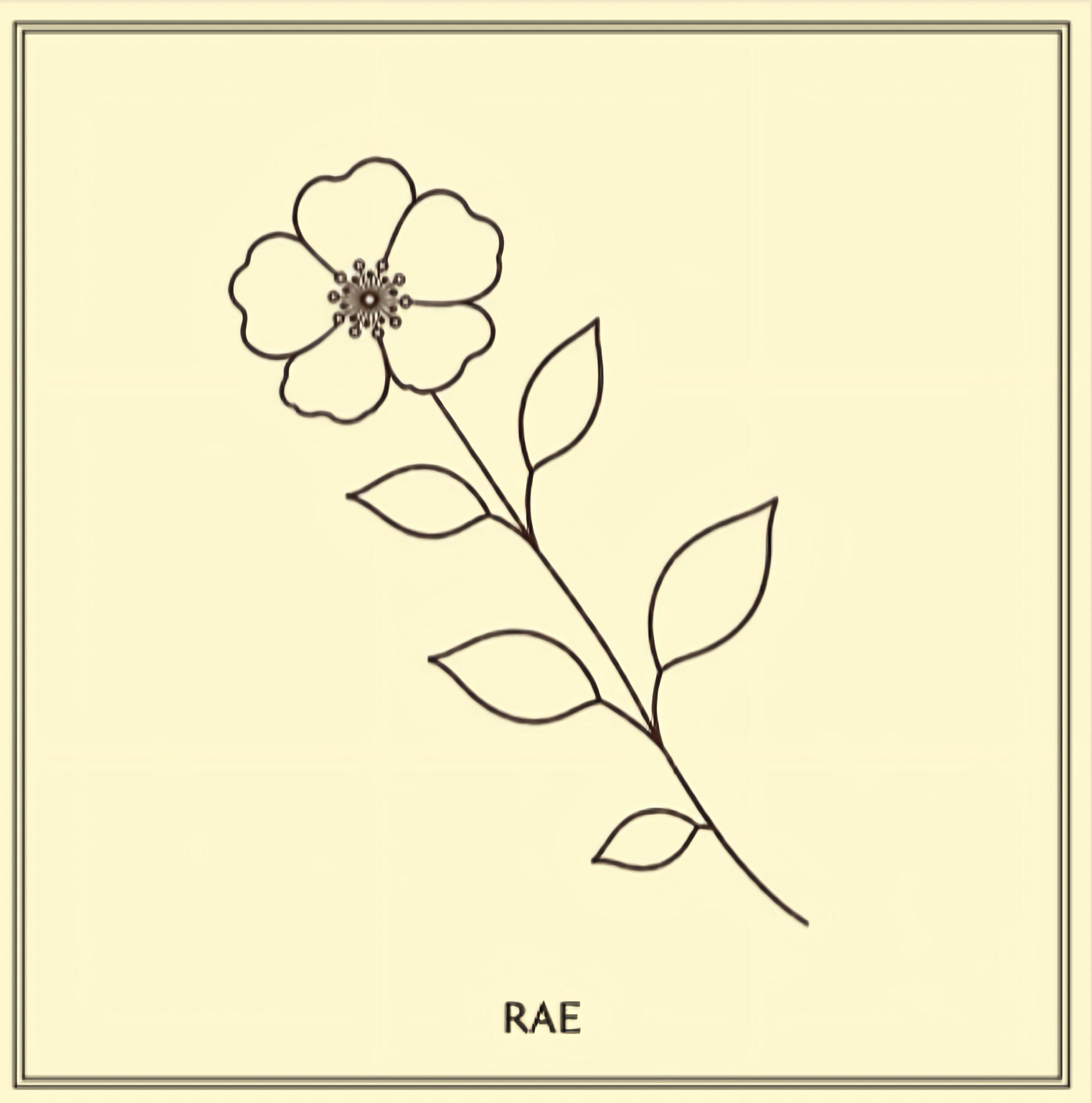 RAE SANDS / HONEY BLOOM PAREO